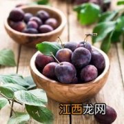 西梅早上吃还是晚上吃有助于排便-早上空腹吃西梅可以帮助排便吗