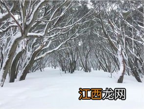 2022年倒春寒会下雪吗-2022倒春寒会下雨吗