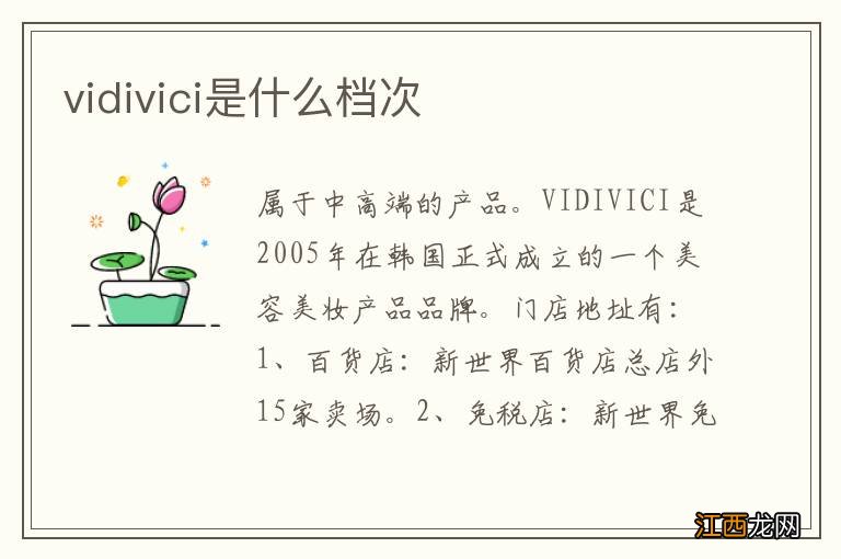 vidivici是什么档次