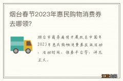 烟台春节2023年惠民购物消费券去哪领？