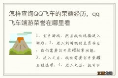 怎样查询QQ飞车的荣耀经历，qq飞车端游荣誉在哪里看