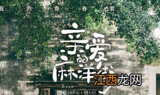 亲爱的麻洋街播出平台 亲爱的麻洋街简介