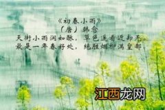 2022年雨水前一天是绝日吗-雨水节气前后的忌讳有哪些