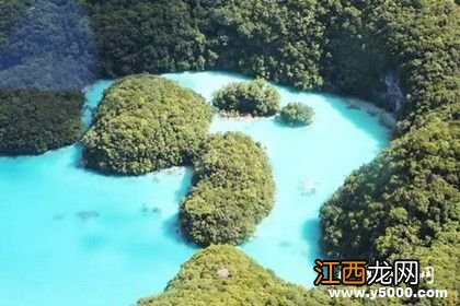 牛奶湖:奶牛见了会不会哭!,奶牛的哭泣