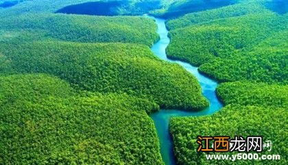 为什么说热带雨林是地球的一种宝贵资源