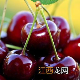 车厘子包装不拆大概能囤多久-车厘子包装不剪开能放多久