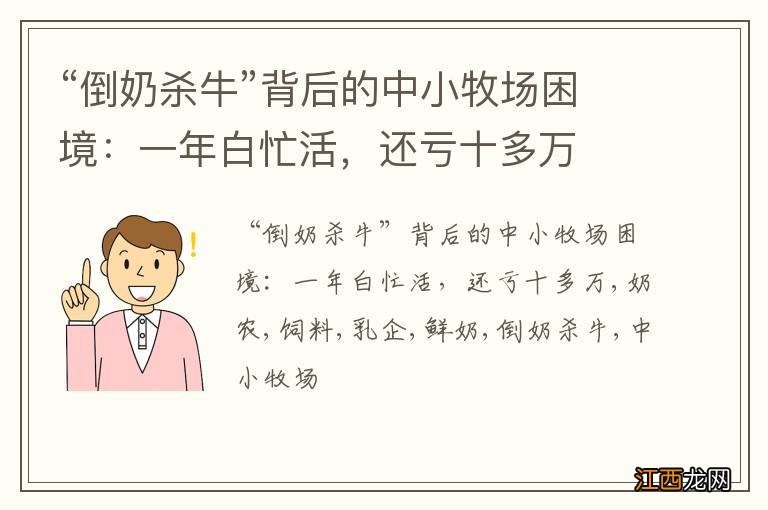“倒奶杀牛”背后的中小牧场困境:一年白忙活,还亏十多万