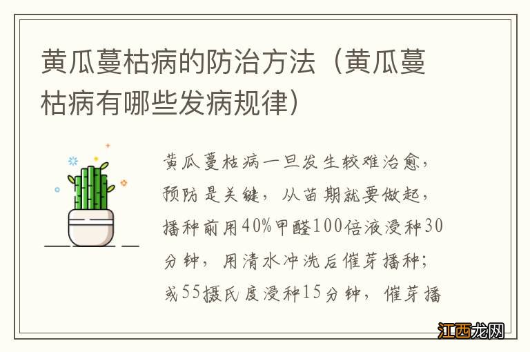 黄瓜蔓枯病有哪些发病规律 黄瓜蔓枯病的防治方法