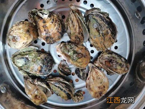 压锅生蚝几分钟就好-生蚝可以不开壳直接放高压锅里吗