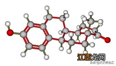 吃活珠子可以补雌激素吗-活珠子里面有激素吗