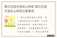 摩尔庄园手游怎么种菜 摩尔庄园手游怎么种菜注意事项