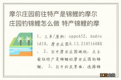 摩尔庄园前往特产是锦鲤的摩尔庄园钓锦鲤怎么做 特产锦鲤的摩尔庄园钓锦鲤如何做