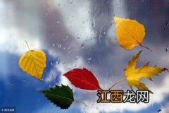 今年元旦会下雨吗2022-元旦下雨好吗