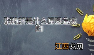 脂肪肝是什么原因造成的 脂肪肝的诱因有哪些