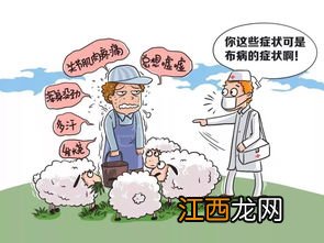 人怎么感染布病的-人感染布病会传染人吗