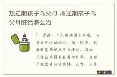 叛逆期孩子骂父母 叛逆期孩子骂父母脏话怎么治