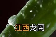 睡眠面膜前需要涂什么 睡眠面膜的正确用法