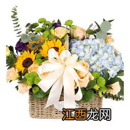 2021重阳节可以给老人送花吗-重阳节送什么花给老人比较好