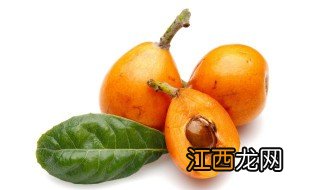 枇杷膏的功效与作用及食用方法 枇杷膏的功效与作用介绍