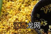 菠萝是硬的可以打开吃吗 菠萝怎么催熟好