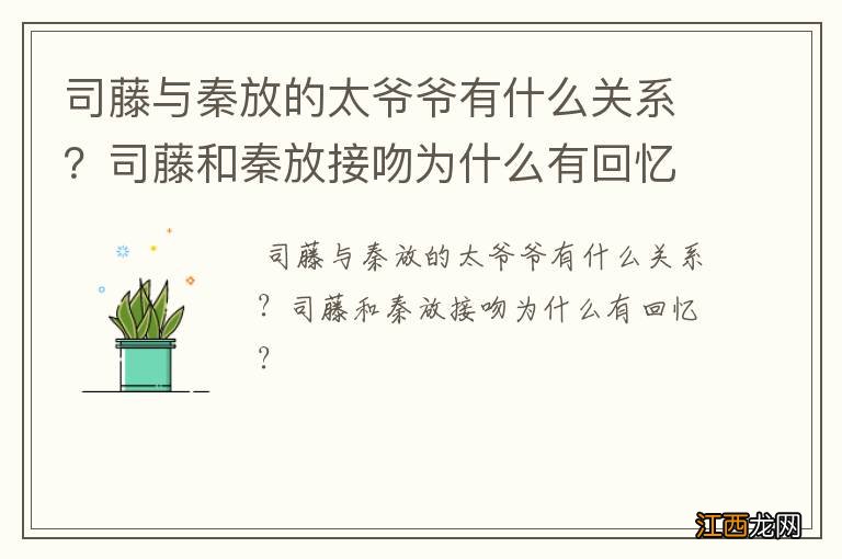司藤与秦放的太爷爷有什么关系?司藤和秦放接吻为什么有回忆?