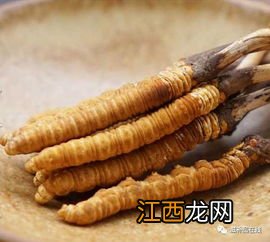 鲜虫草怎么做成干虫草-新鲜虫草和干虫草哪个营养价值高