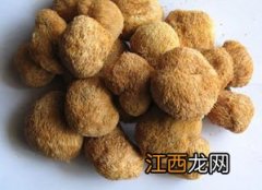 猴头菇怎么弄才不苦-猴头菇的味道苦正常吗