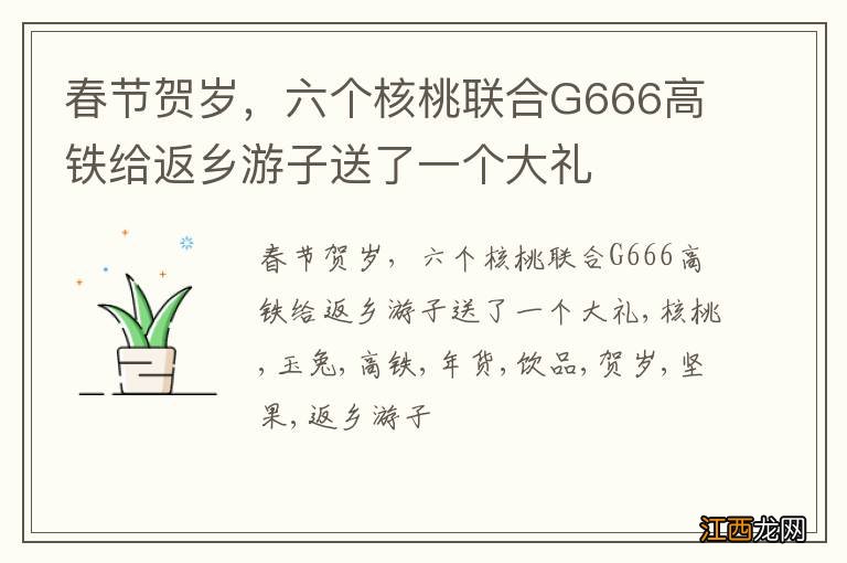 春节贺岁，六个核桃联合G666高铁给返乡游子送了一个大礼