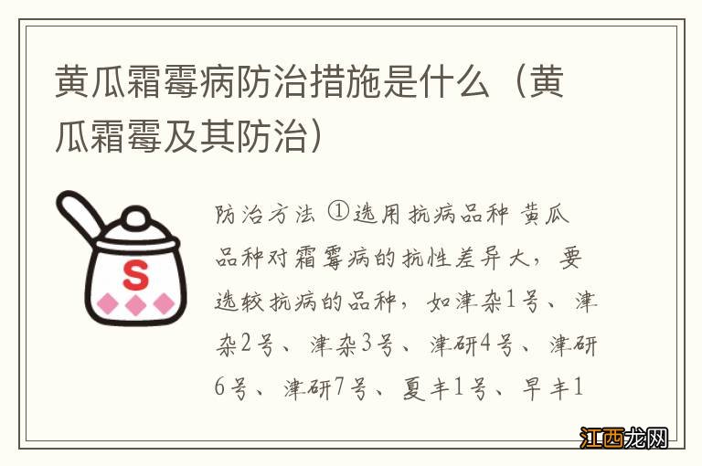 黄瓜霜霉及其防治 黄瓜霜霉病防治措施是什么