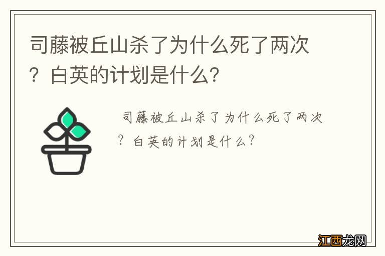 司藤被丘山杀了为什么死了两次？白英的计划是什么？