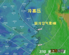 2022年元旦的时候上海冷吗-上海元旦天气怎么样