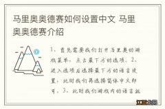 马里奥奥德赛如何设置中文 马里奥奥德赛介绍