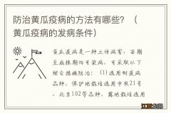 黄瓜疫病的发病条件 防治黄瓜疫病的方法有哪些？