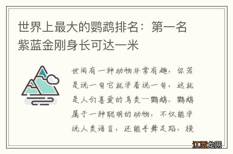 世界上最大的鹦鹉排名：第一名紫蓝金刚身长可达一米