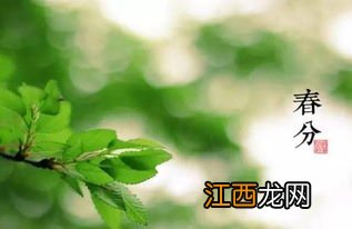 2022年春分过后还会冷吗-春分过后天气是不是就暖了