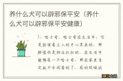 养什么犬可以辟邪保平安健康 养什么犬可以辟邪保平安