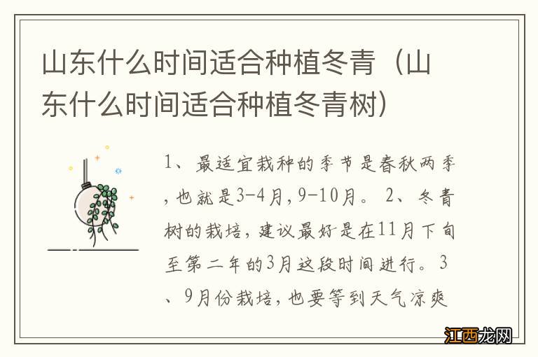 山东什么时间适合种植冬青树 山东什么时间适合种植冬青