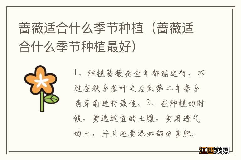 蔷薇适合什么季节种植最好 蔷薇适合什么季节种植