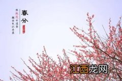 2022年春分过后白天长还是黑夜长-春分过后昼夜有什么变化