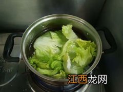 蚝油生菜是热菜还是凉菜-蚝油生菜是热菜吗