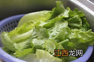 做蚝油生菜用圆型的生菜还是用扁型的好-蚝油生菜用的是什么生菜