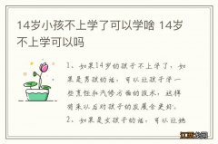 14岁小孩不上学了可以学啥 14岁不上学可以吗