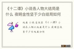 《十二谭》小说各人物大结局是什么 夜明金性坚于少白结局如何