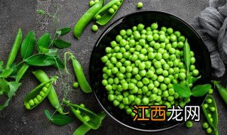 冬月可以种豌豆吗 立冬前后都可以种豌豆吗