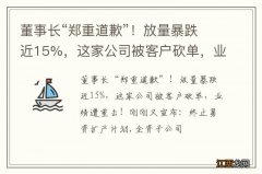 董事长“郑重道歉”！放量暴跌近15%，这家公司被客户砍单，业绩遭重击！刚刚又宣布：终止