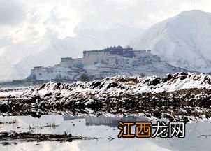 十一月西藏下雪了吗-十一月份去西藏旅游合适吗