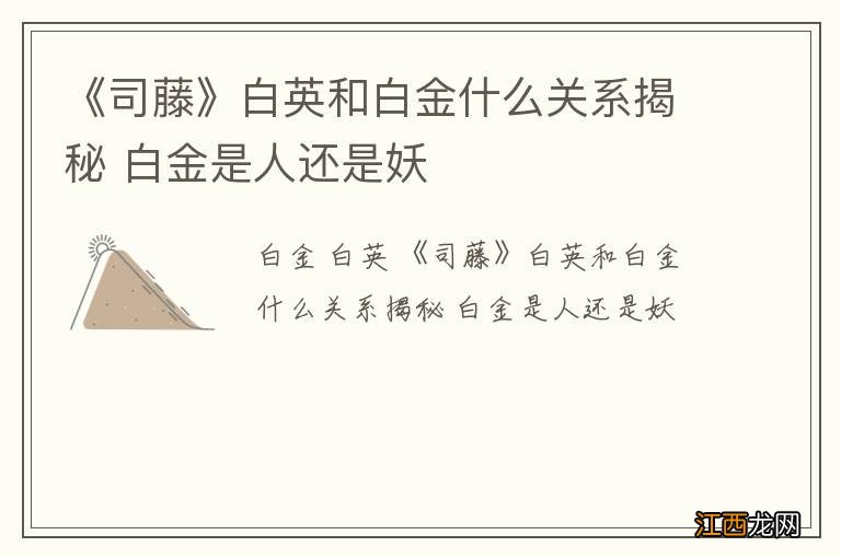 《司藤》白英和白金什么关系揭秘 白金是人还是妖