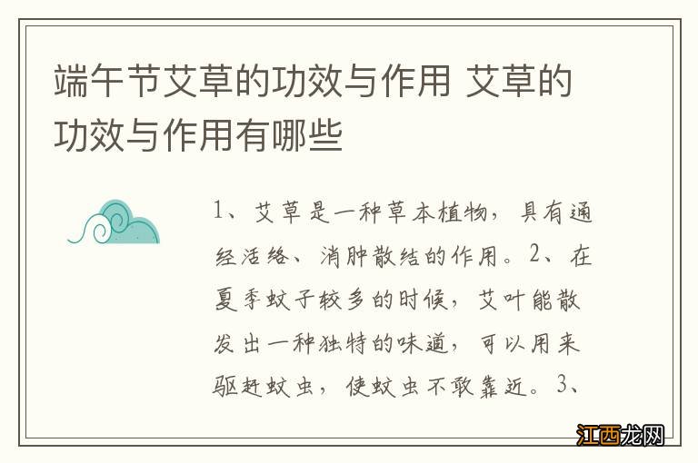 端午节艾草的功效与作用 艾草的功效与作用有哪些