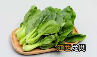 夏季阳台适合种什么菜 夏天适合种什么菜阳台