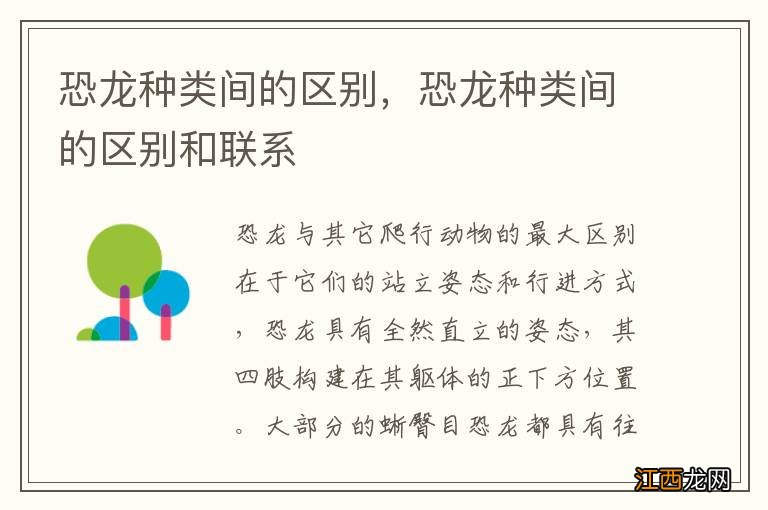 恐龙种类间的区别，恐龙种类间的区别和联系